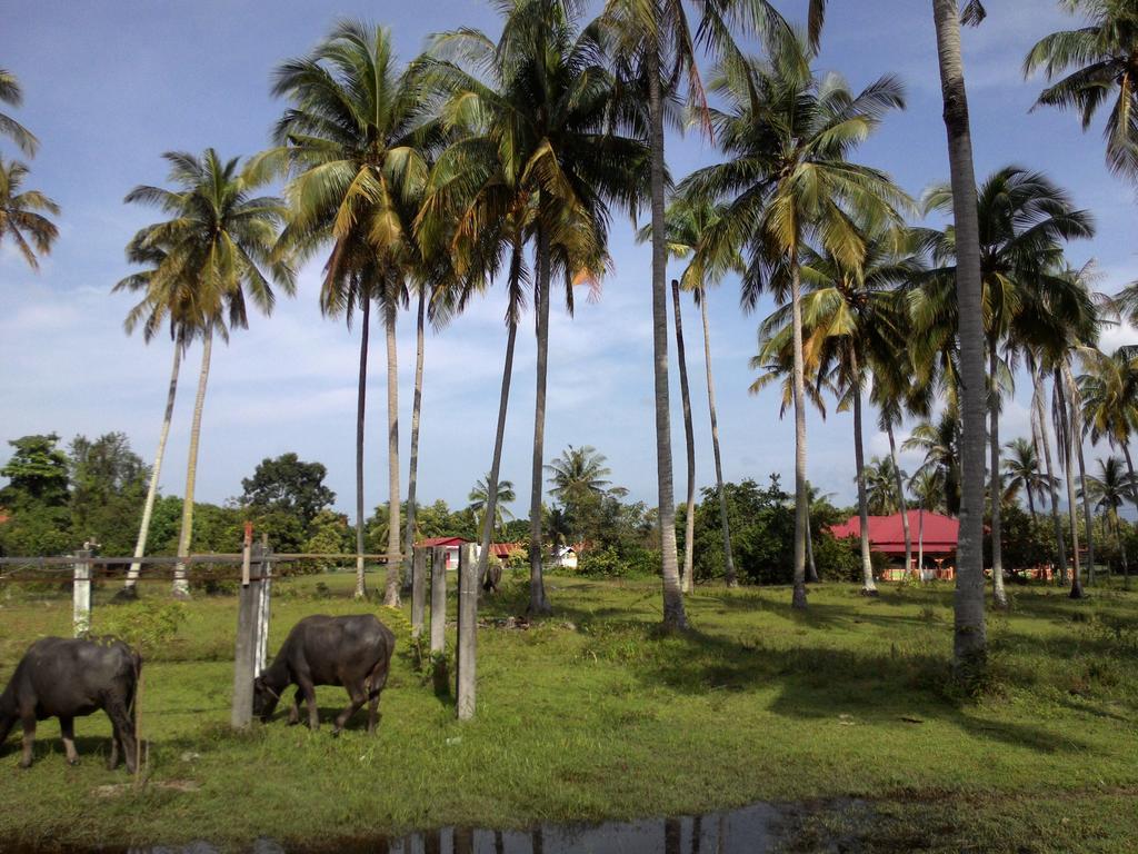 The Village Langkawi Pantai Cenang  Exterior photo