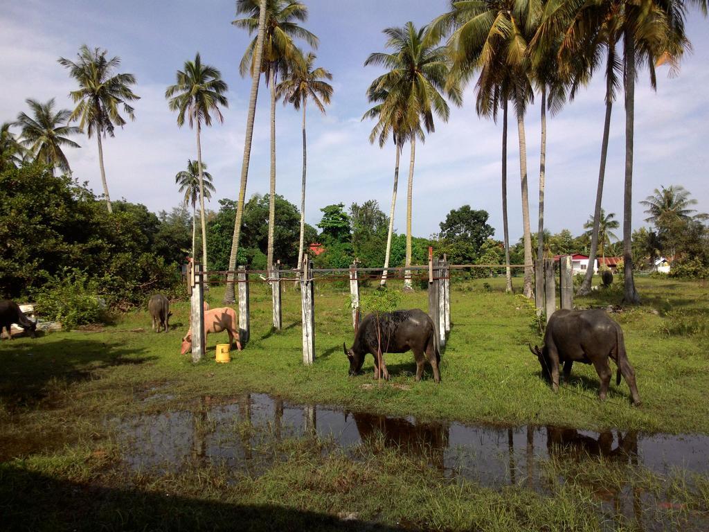 The Village Langkawi Pantai Cenang  Exterior photo