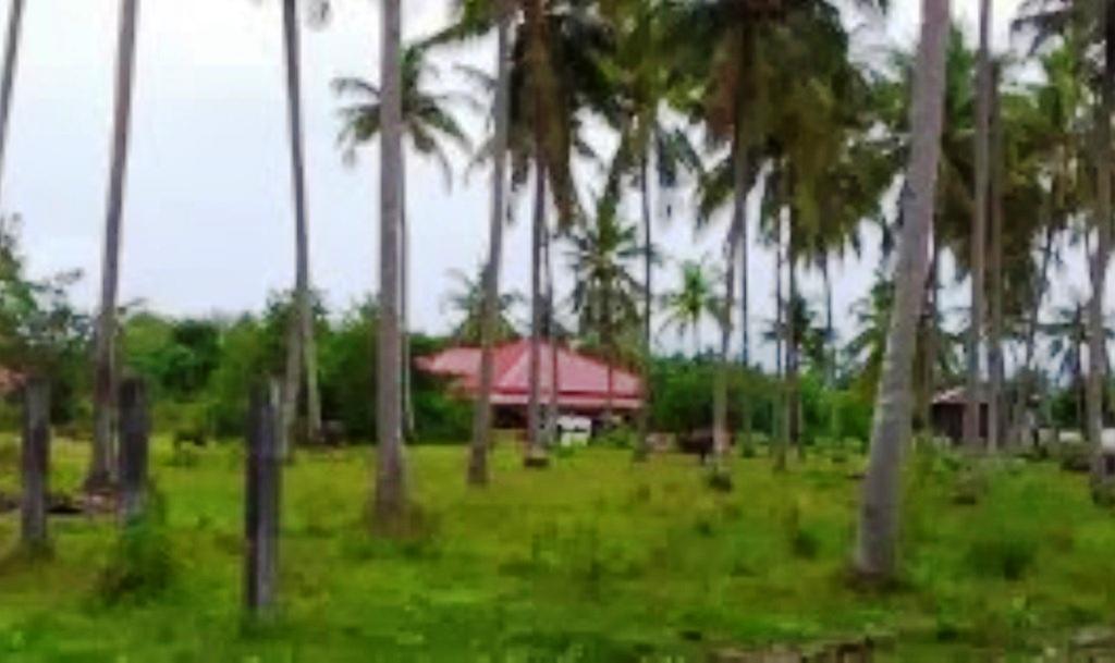 The Village Langkawi Pantai Cenang  Exterior photo